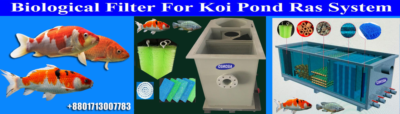 Koi Pond Water Treatment at Low Price in Dhaka Bangladesh