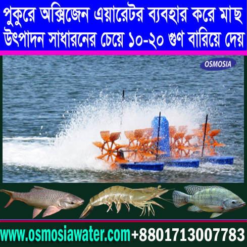 High Stocking Density Fish Culture Wheel Aerator Machinery Supplier, High Stocking Density Fish Culture Wheel Aerator Machine Supplier, High Stocking Density Fish Culture Paddle Wheel Aerator Machine Supplier, High Stocking Density Fish Culture Solar Paddle Wheel Aerator Machine Supplier, High Stocking Density Fish Culture Solar Powered Paddle Wheel Aerator Machine Supplier, Fish Culture Solar Powered Paddle Wheel Aerator Machine Supplier, Fish Culture Solar Powered Paddle Wheel Aerator Supplier, Solar Powered Paddle Wheel Aerator Supplier, Solar Powered Pond Paddle Wheel Aerator Supplier