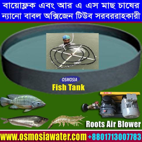 2HP Roots Air Blower in Bangladesh, Biofloc Aquaculture Aeration 3HP Roots Air Blower in Bangladesh, 4HP Roots Blower for Shrimp Prawn Fish Culture in Bangladesh, 1HP Roots Air Blower in Bangladesh, 2HP Roots Air Blower in Bangladesh, 3 HP Roots Air Blower Supplier in Bangladesh, 5 HP Roots Air Blower Supplier in Bangladesh, 7 HP Roots Air Blower Supplier in Bangladesh, Fish Farming Aeration Roots Air Blower in Bangladesh, RAS Fish Farming Aeration Roots Air Blower Supplier in Bangladesh, High Stocking Density Shrimp/ Fish Farm Roots Blower in Bangladesh